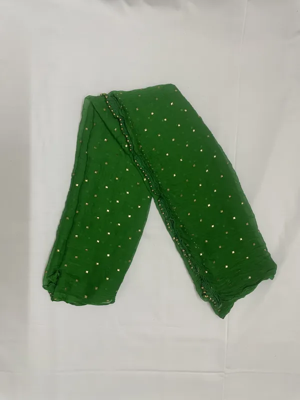 Mamta_Matching_Centre-dupatta_chiffon