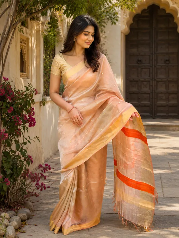 Pure_Handloom_Tussar_Tissue_Zari_sequin_Woven_Saree