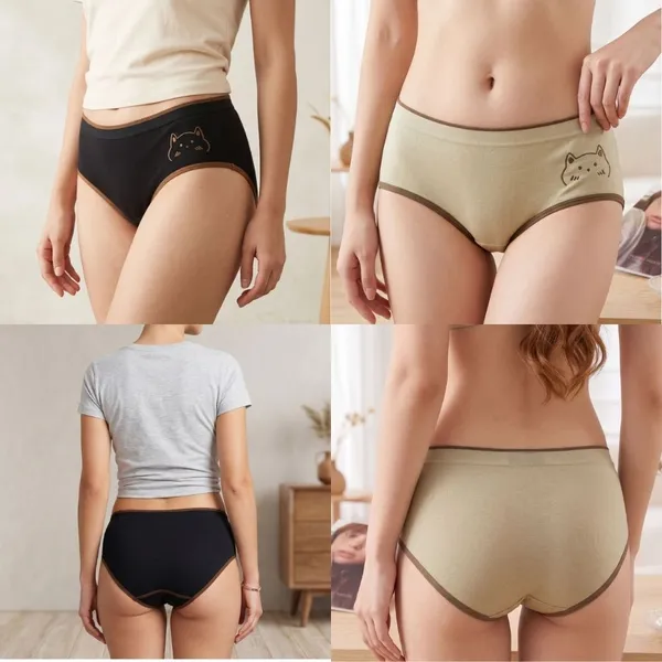 Assorted_Briefs_for_Women