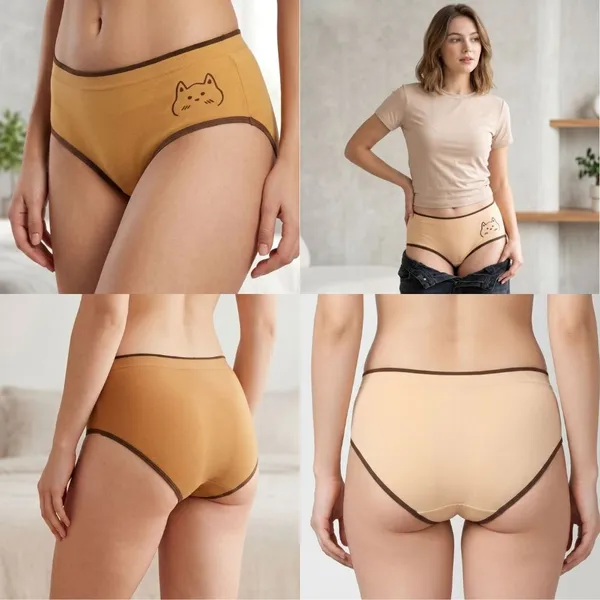 Assorted_Cotton_Full_Coverage_Briefs_For_Women