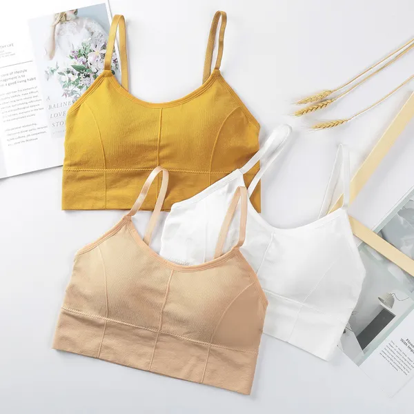 Assorted_Ribbed_Full_Coverage_Bra_for_Women