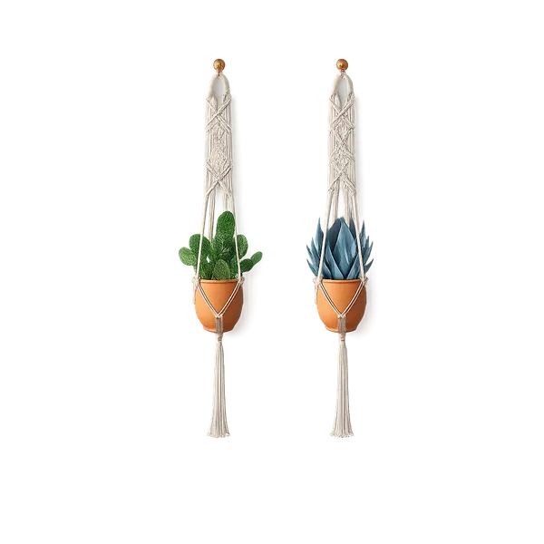 Macrame_Boho_Hanging_Planter_Set_With_Succulent_Plants