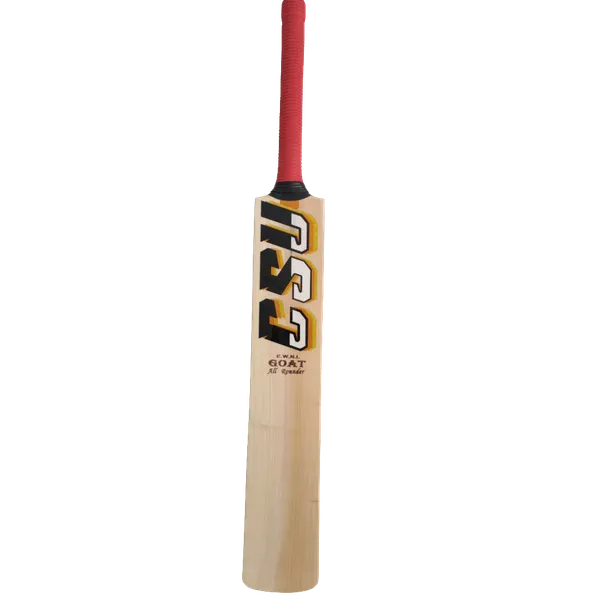 CSU_GOAT_Allrounder_–_Hardik_Pandya_Profile_|_Nurtured_English_Willow