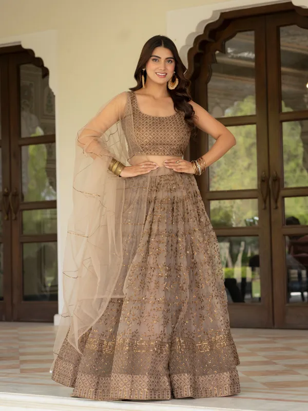 Taupe_Net_Sleeveless_Embroidered_Lehenga_Choli_For_Women