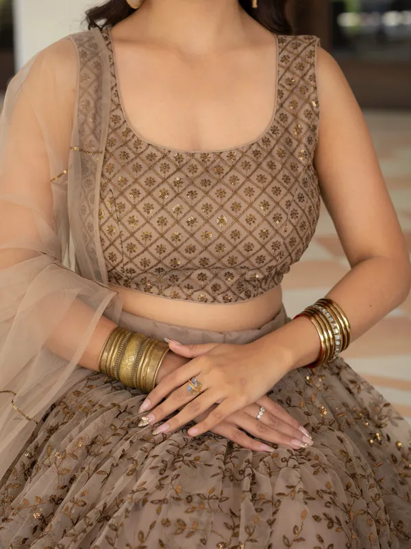 Taupe_Net_Sleeveless_Embroidered_Lehenga_Choli_For_Women