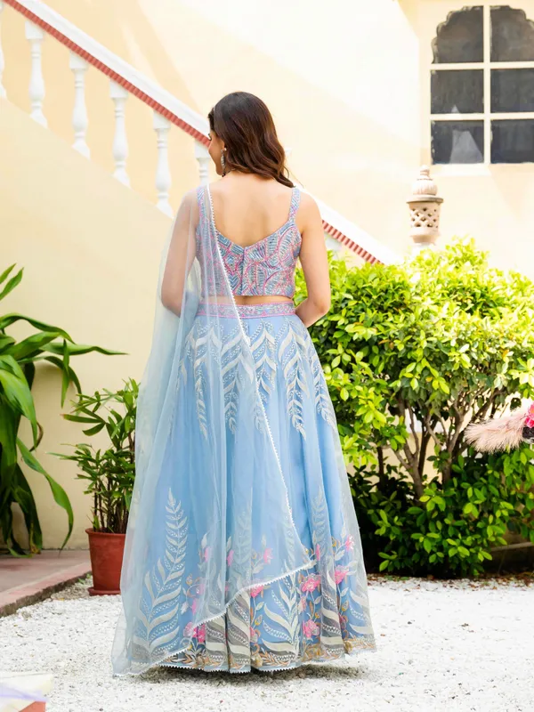 Blue_Net_Sleeveless_Embroidered_Lehenga_Choli_Set_For_Women
