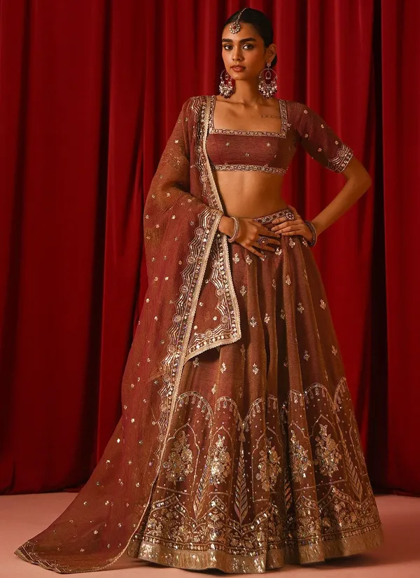 Brown_Fandy_Silk_Short_Sleeve_Embroidered_Lehenga_Choli_For_Women