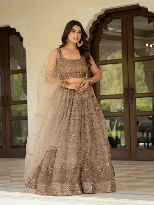 Taupe_Net_Sleeveless_Embroidered_Lehenga_Choli_For_Women