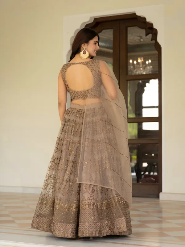 Taupe_Net_Sleeveless_Embroidered_Lehenga_Choli_For_Women