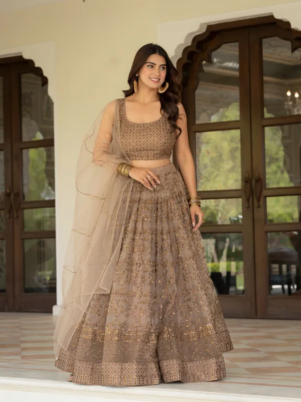Taupe_Net_Sleeveless_Embroidered_Lehenga_Choli_For_Women