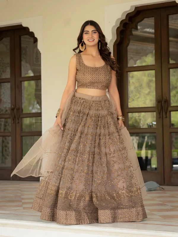 Taupe_Net_Sleeveless_Embroidered_Lehenga_Choli_For_Women