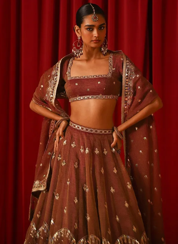 Brown_Fandy_Silk_Short_Sleeve_Embroidered_Lehenga_Choli_For_Women