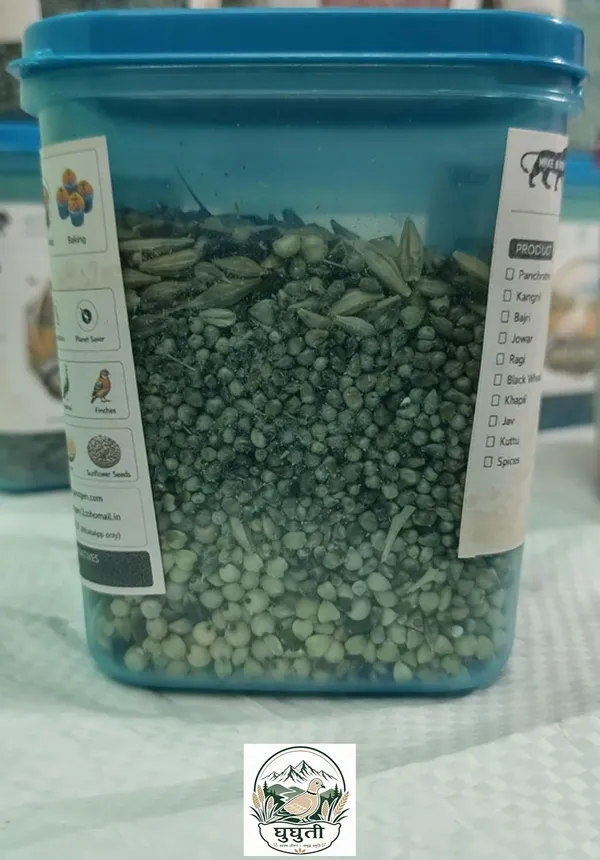 Ghughuti_GHUGHUTI_Millet_Bajri_Bird_Feed_450g_0.2_kg_Dry_Adult_Bird_Food