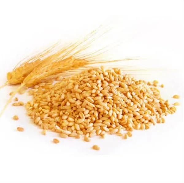 Ghughuti_Unpolished_Milling_Wheat