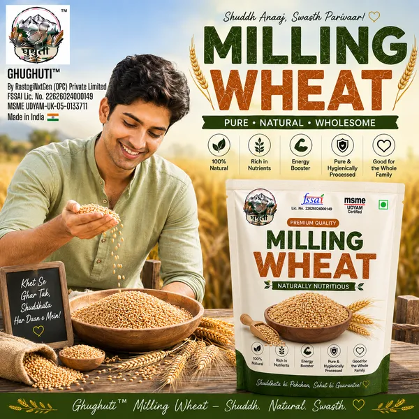 Ghughuti_Milling_Wheat