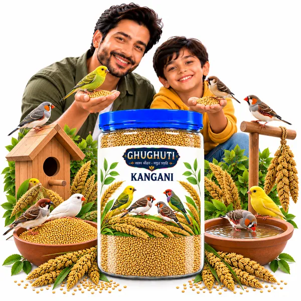 Ghughuti_Kangani_Millet_Bird_Feed
