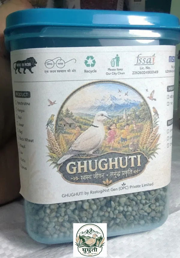 Ghughuti_Bajra_Millet_Bird_Feed