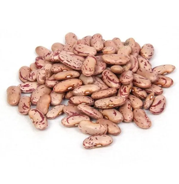 Ghughuti_Chitra_Rajma