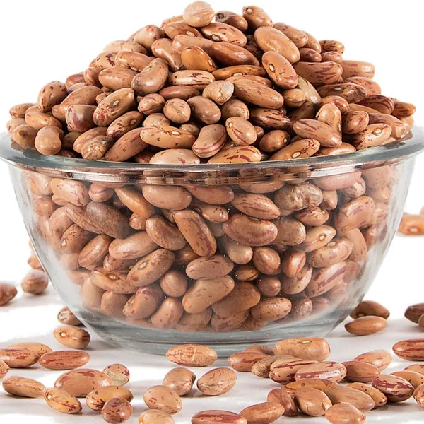 Ghughuti_Chitra_Rajma