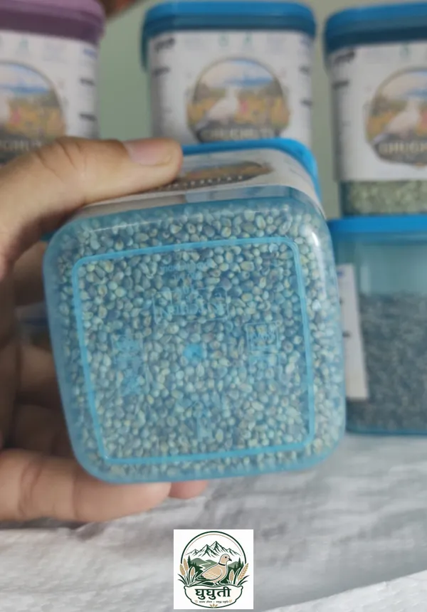 Ghughuti_Premium_Khapli_Wheat_Bird_Feed