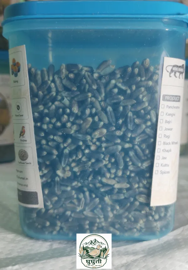 Ghughuti_Premium_Khapli_Wheat_Bird_Feed