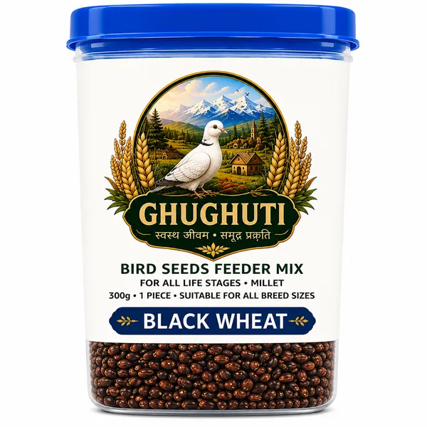 Ghughuti_Black_Wheat_Bird_Food
