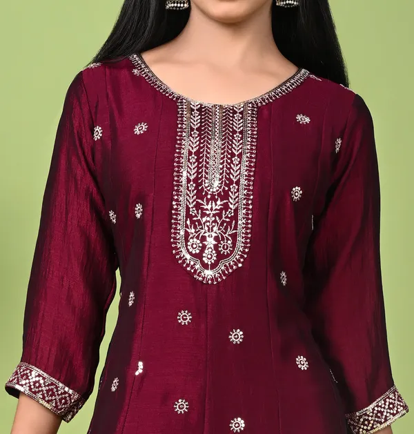 Anarkali_Embroidered_Gown_With_Zari_Work_And_Sequins_Wine_Wine
