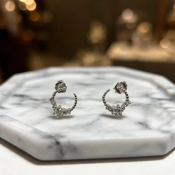Celestial_Crescent_Moon_Arc_Crystal_Earrings_Clear