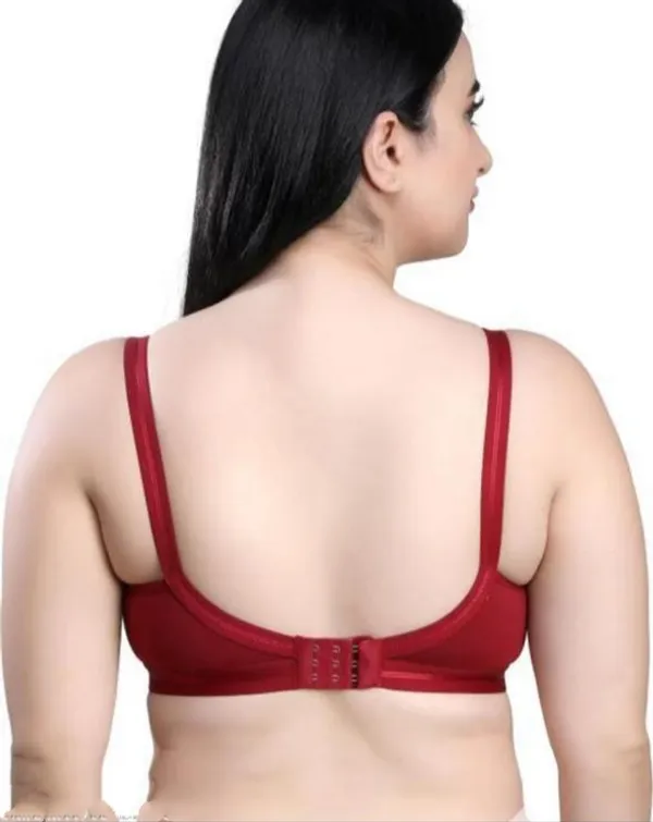 Maroon_Mauve_Cotton_Full_Coverage_Wide_Strap_Bra_Set_For_Women_(Pack_of_2)
