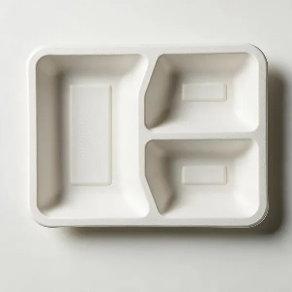 White_Sugarcane_Bagasse_Compartment_Food_Tray_Pack_Of_50