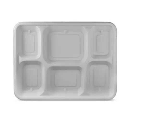 White_Sugarcane_Bagasse_Compartment_Food_Tray_Pack_Of_25