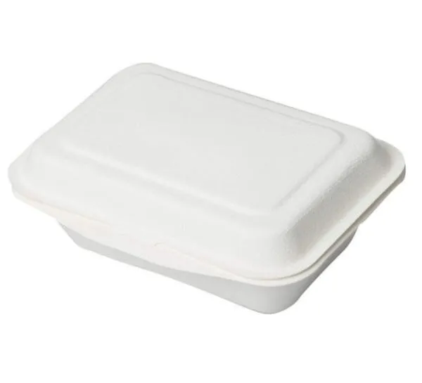 White_Sugarcane_Bagasse_Clamshell_Food_Box_Pack_Of_50