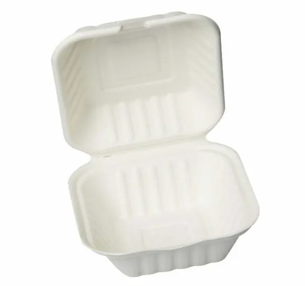 White_Sugarcane_Bagasse_Clamshell_Food_Box_Pack_Of_50