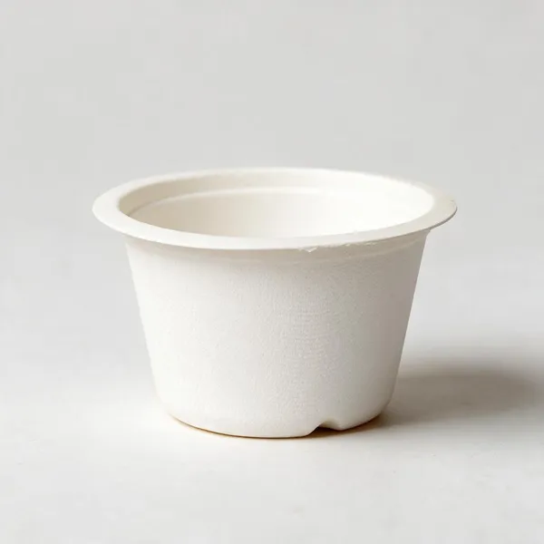 White_Sugarcane_Bagasse_Disposable_Bowl00