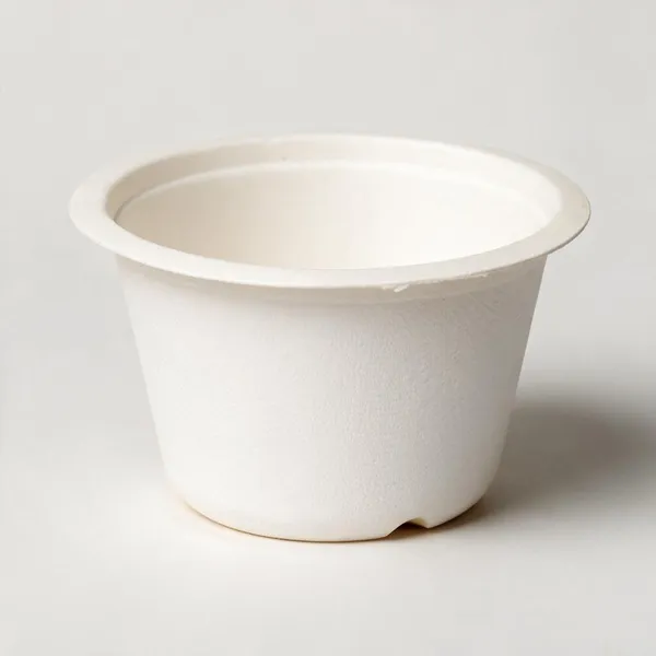 White_Sugarcane_Bagasse_Disposable_Bowl00