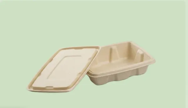 White_Sugarcane_Bagasse_Container_Lid00