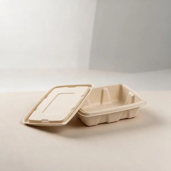 White_Sugarcane_Bagasse_Disposable_Food_Container00