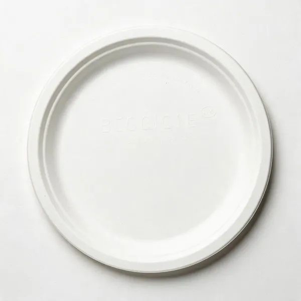 White_Sugarcane_Bagasse_Disposable_Plate_Pack_Of_50
