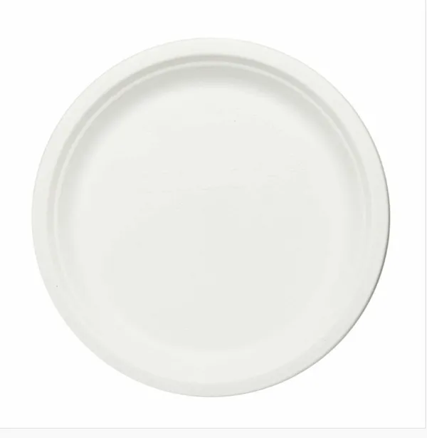 White_Sugarcane_Bagasse_Disposable_Plate_Pack_Of_50