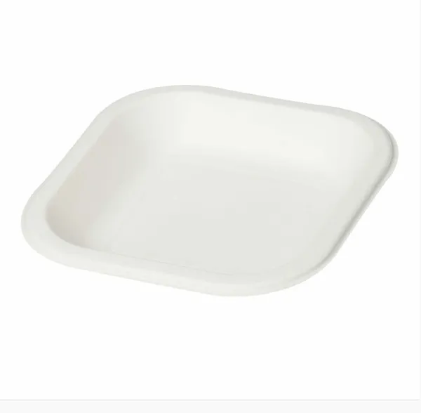 White_Sugarcane_Bagasse_Disposable_Plate_Pack_Of_50