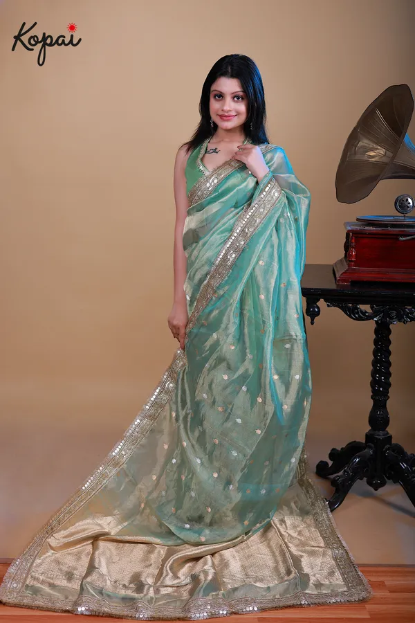 Pure_Benarasi_Tissue_Saree_With_Golden_Zari_Border_Default_Title