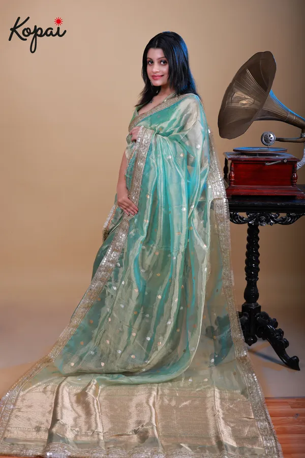 Pure_Benarasi_Tissue_Saree_With_Golden_Zari_Border_Default_Title