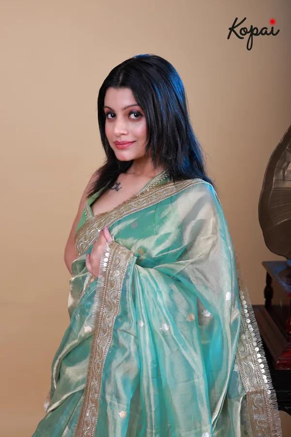 Pure_Benarasi_Tissue_Saree_With_Golden_Zari_Border_Default_Title