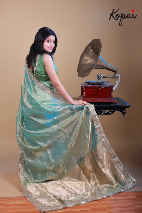 Pure_Benarasi_Tissue_Saree_With_Golden_Zari_Border_Default_Title
