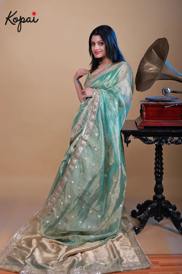 Pure_Benarasi_Tissue_Saree_With_Golden_Zari_Border_Default_Title