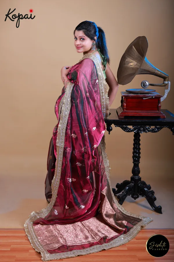 Pure_Benarasi_Tissue_Silk_Saree_Default_Title