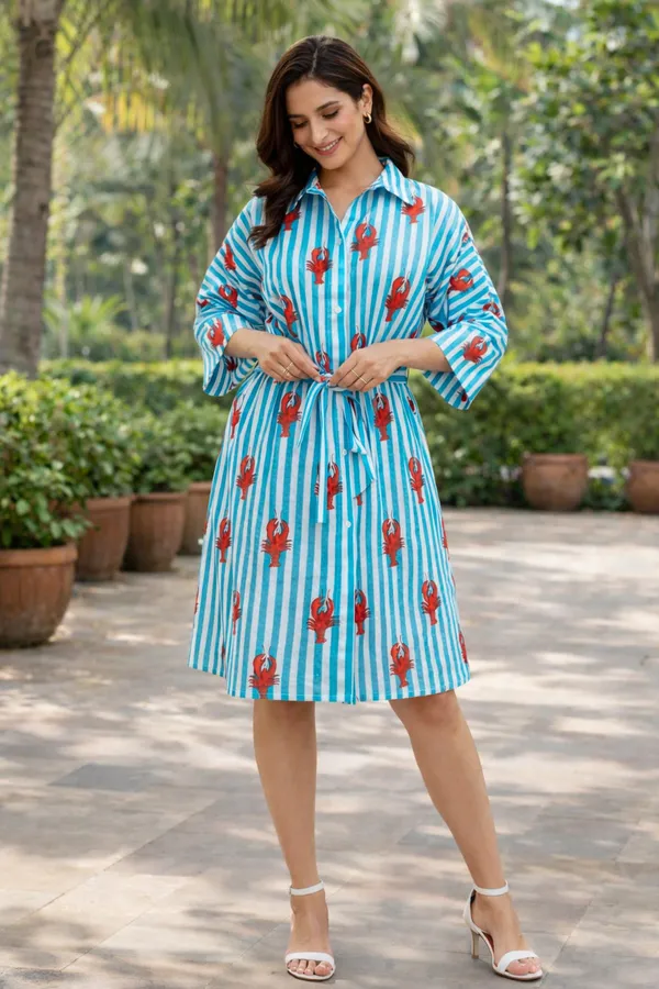 Blue_Striped_Printed_Shirt_Dress_For_Women