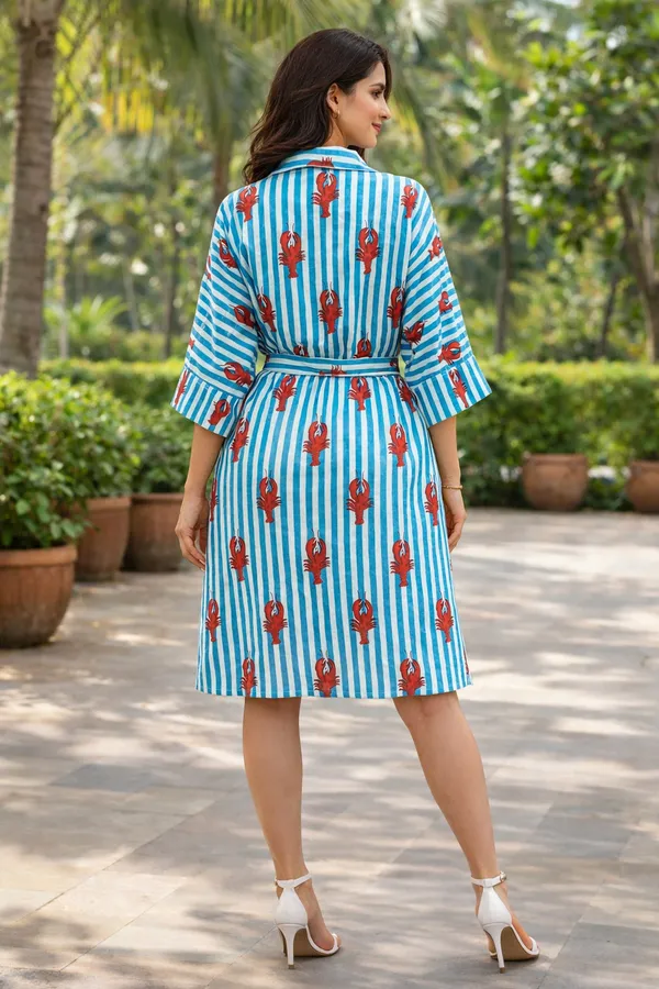 Blue_Striped_Printed_Shirt_Dress_For_Women