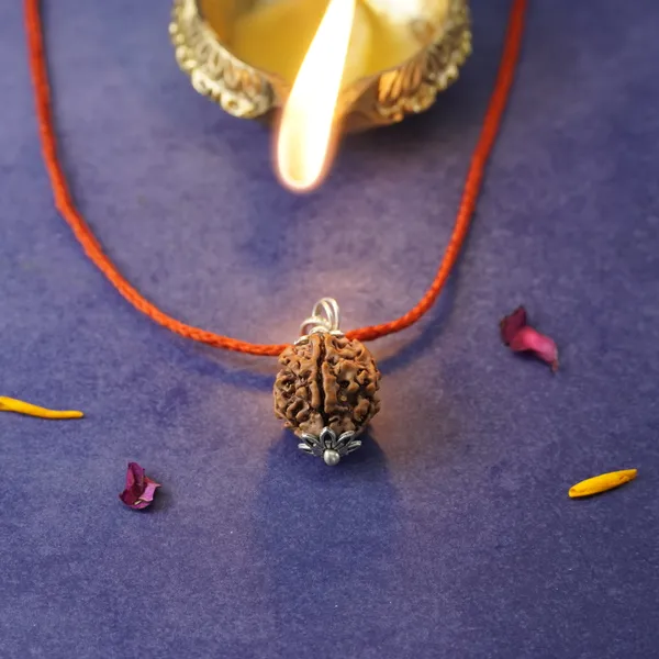 5_Mukhi_Rudraksha_Brown_Bead_Keychain_(Panchmukhi)
