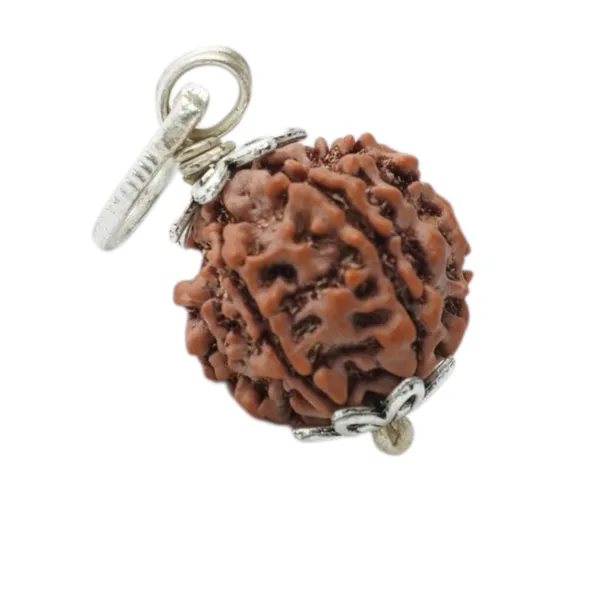6_Mukhi_Rudraksha_Brown_Bead_Pendant_With_Red_Thread